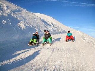 Chalet Hollersbach im Pinzgau Environnement 33