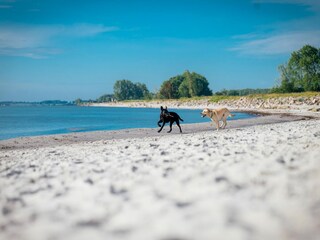 Vakantiepark Damp Omgeving 19