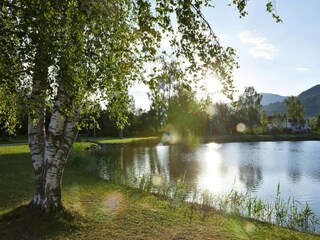 Appartement Hollersbach im Pinzgau  22