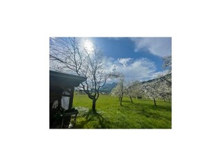 Casa de vacaciones Scheffau Grabación al aire libre 14
