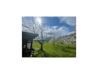 Ferienhaus Scheffau Außenaufnahme 10