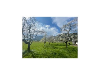 Casa de vacaciones Scheffau Grabación al aire libre 7