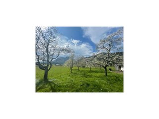 Vakantiehuis Scheffau Buitenaudio-opname 7