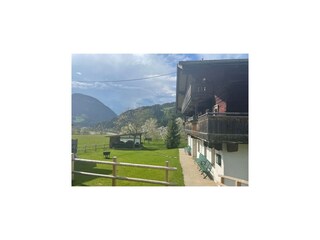 Casa de vacaciones Scheffau Grabación al aire libre 8