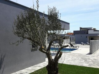 Parco vacanze Povljana Registrazione all'aperto 4