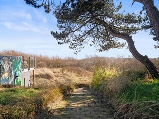 Parque de vacaciones Callantsoog Entorno 13