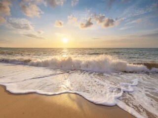 Vakantiepark Callantsoog Omgeving 17