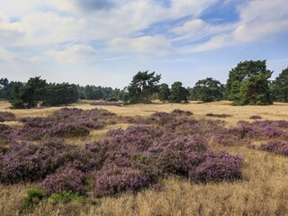 Parco vacanze Voorthuizen Ambiente 12