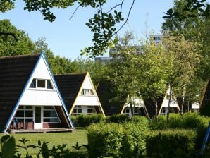 Parc de vacances Maison de vacances dans la station balnéaire de Dampland sur la mer Baltique dans un cadre idéal - vapeur - image1