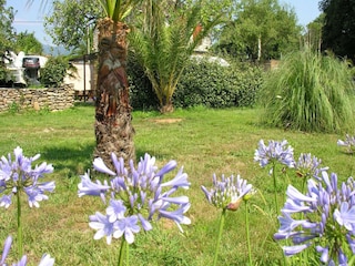 Ferienpark Moriani-Plage Außenaufnahme 3