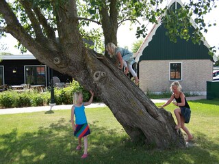 Vakantiepark Wieringen Omgeving 22