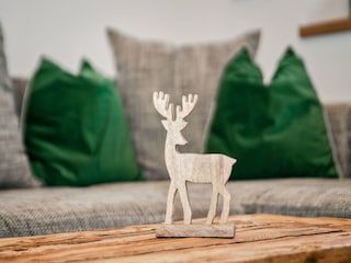 Bauernhof Mühlbach im Pinzgau Ausstattung 21