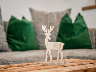 Casa de campo Mühlbach im Pinzgau Características 14