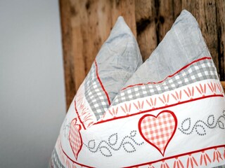 Type de propriété : Ferme Mühlbach im Pinzgau Équipement 16