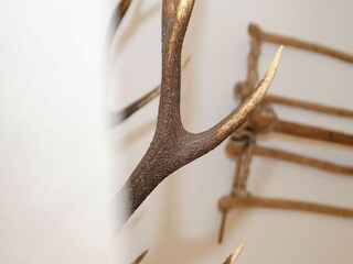 Type de propriété : Ferme Mühlbach im Pinzgau  42