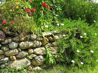 Holiday park Moriani-Plage Outdoor Recording 5