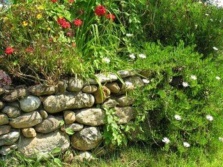 Parco vacanze Moriani-Plage Registrazione all'aperto 5