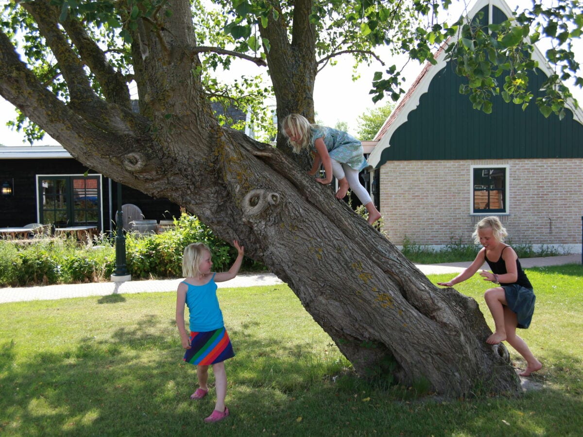 Ferienpark Wieringen Umgebung 16