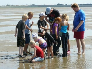 Vakantiepark Wieringen Omgeving 17