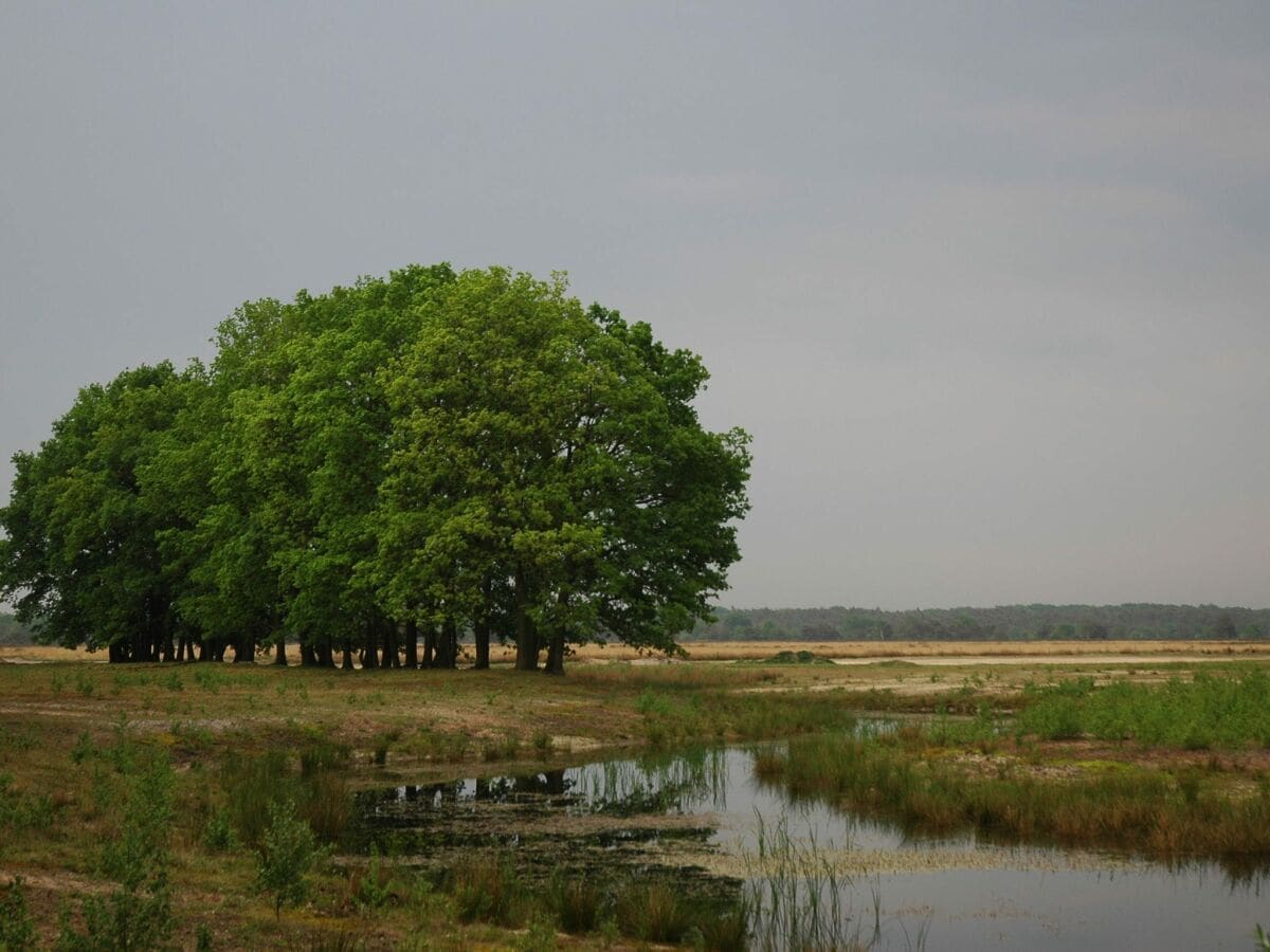 Ferienpark Voorthuizen Umgebung 15