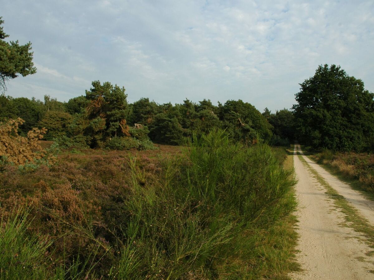 Ferienpark Voorthuizen Umgebung 16