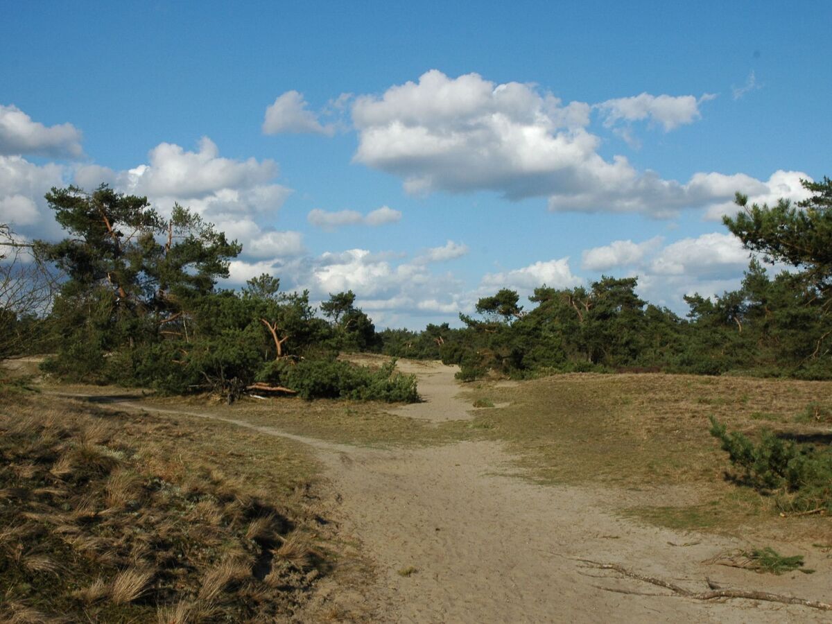 Ferienpark Voorthuizen Umgebung 14