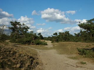 Ferienpark Voorthuizen Umgebung 14