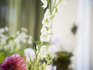 Ferienpark Voorthuizen  27