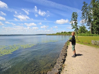 Appartement Plau am See Environnement 10