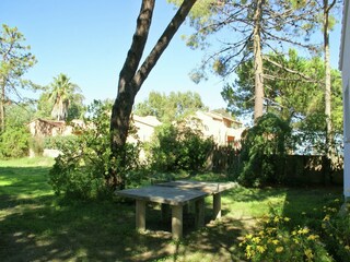 Ferienpark Moriani-Plage Außenaufnahme 6