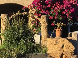 Vakantiepark Moriani-Plage Omgeving 29