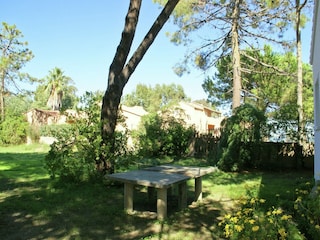 Ferienpark Moriani-Plage Außenaufnahme 6