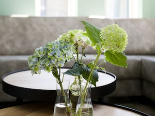 Ferienpark Voorthuizen  37