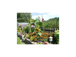 Vakantiepark Polanow Buitenaudio-opname 5