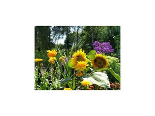 Vakantiepark Polanow Buitenaudio-opname 3