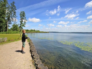Appartement Plau am See Environnement 16