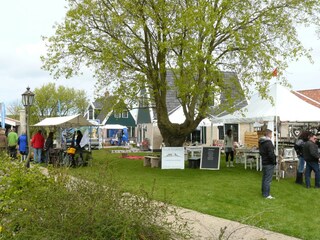 Ferienpark Wieringen Umgebung 21