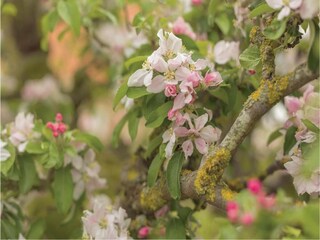 Holiday park Wieringen Environment 18