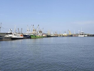 Vakantiepark Wieringen Omgeving 26