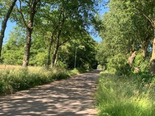 Vakantiepark Wieringen Omgeving 36