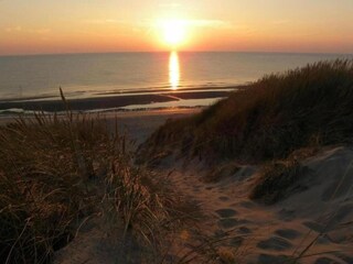Vakantiepark Wieringen Omgeving 33
