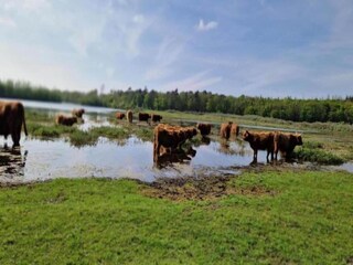 Vakantiepark Wieringen Omgeving 20