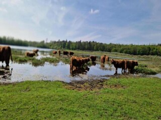Parc de vacances Wieringen Environnement 36