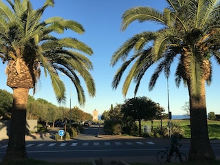 Ferienpark Moriani-Plage Umgebung 18