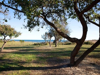 Ferienpark Moriani-Plage Umgebung 23