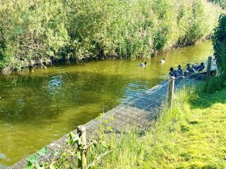 Vakantiepark Breskens Omgeving 13