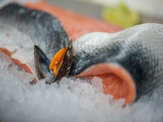 Vakantiepark Bredene Omgeving 25