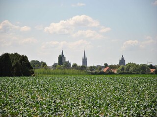 Ferienpark Bredene Umgebung 13