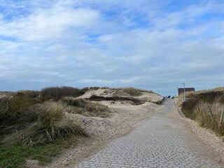 Parc de vacances Bredene Environnement 39