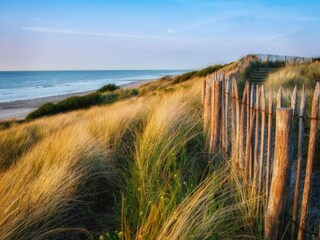 Parc de vacances Bredene Environnement 28